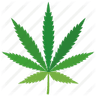 legalisieren