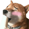 FTGPdoggoicecream2