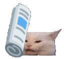 FTGPcatbehaveorban