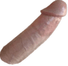 cock