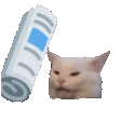 whackacat