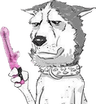 DildoTime