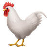 chicken_1f413