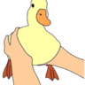 duckhold