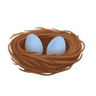 bird_nest