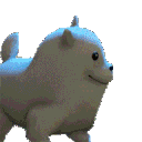 DanceDanceDoggy