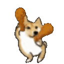 kfcdoge