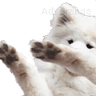 boofdab
