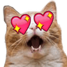 EYEhearthcatt