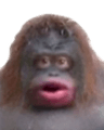 stinky