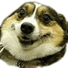 happyboi1