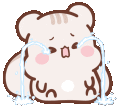 SquirrelCry