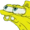 sponge
