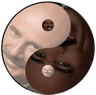 c_kungFu