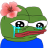 pepeSadness