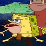 Spongegar