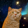 spacecat