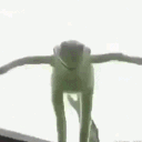 hh_kermitsuicide