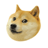 ad_doge