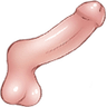 BigDick