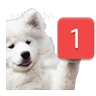 TRpingBoye