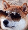 keepitcool