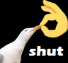 c_shut