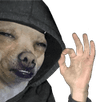 c_okDawg