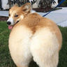 juiceethicc