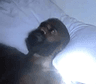 4am