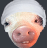 ragepiggy