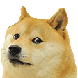 PI_dogeleave