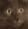 OhShit