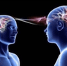 samebrain