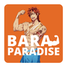 BARAPARADISE1