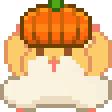 hampumpkindance
