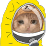 edgy_coronacat