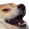 DogsOfDiscord_2_Laughter