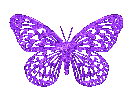 angelBUtterflysparkle