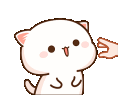 PI_kittypinch