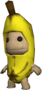 kubo
