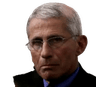 madfauci