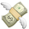 FinSub
