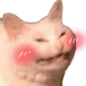 CattoBlush2