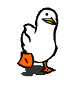 duck
