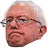 BernieDepressed