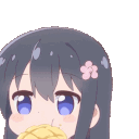 PI_Nopats
