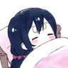 PI_NicoSleep