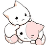 cuddles