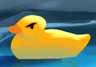 angryducc